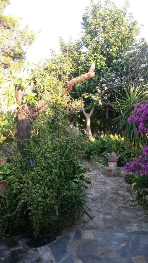 Agriturismo Camboni Villa Annunziata  Kültér fotó